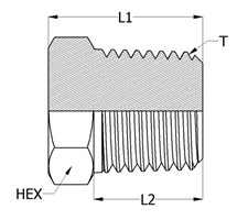SIZE product image