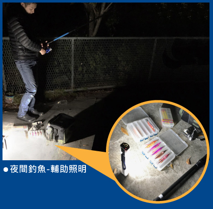 SAMPLE08 product image